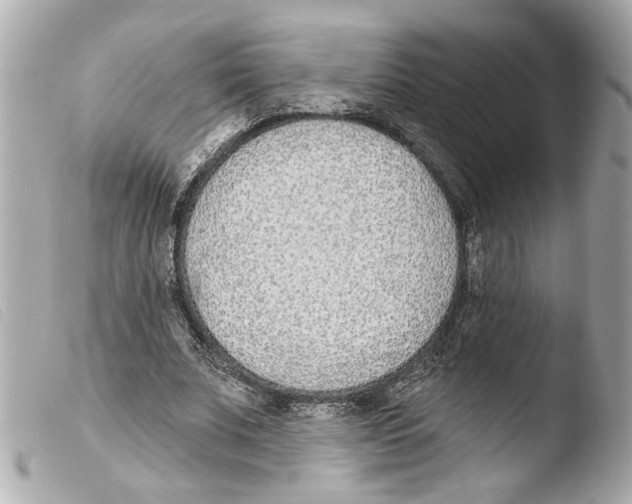 X0000103470679200810100935