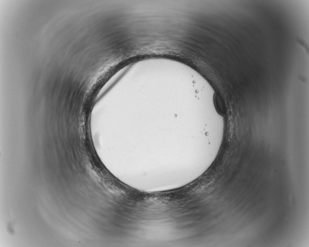 X0000103470680200810100935