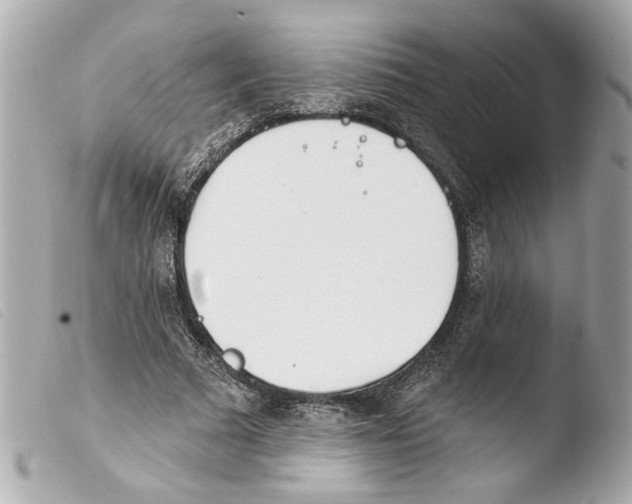X0000103470681200810100935