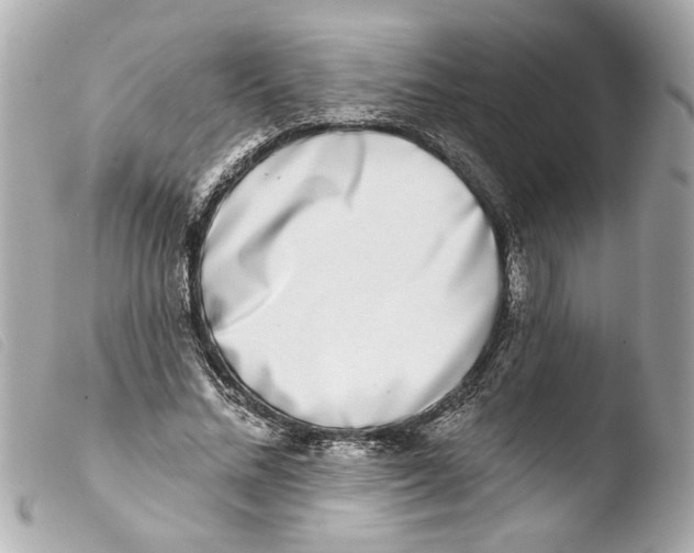 X0000103470684200810100935