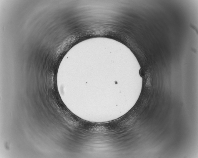X0000103470685200810100935