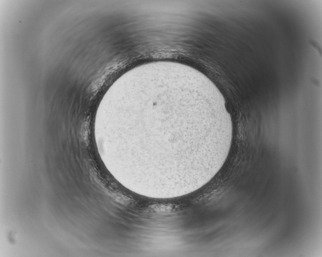 X0000103470687200810100935