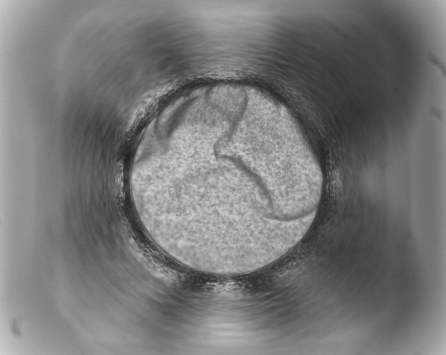 X0000103470688200810100935