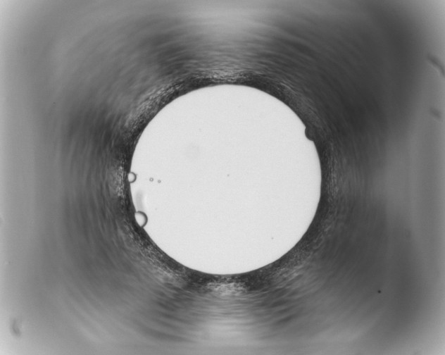 X0000103470689200810100935