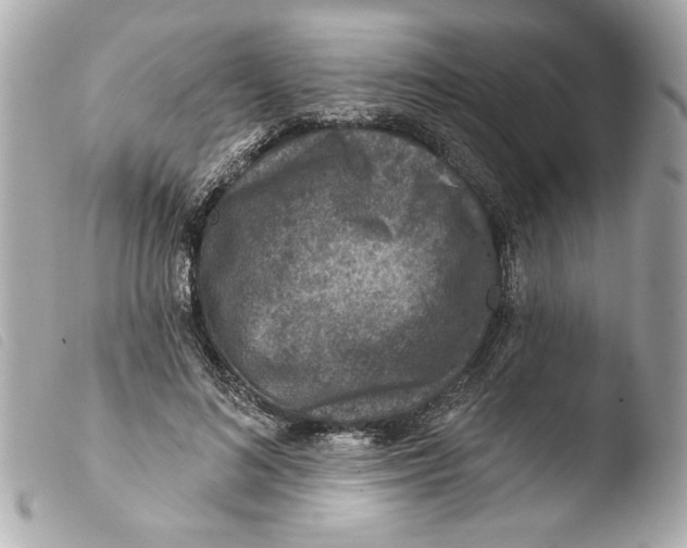 X0000103470692200810100935