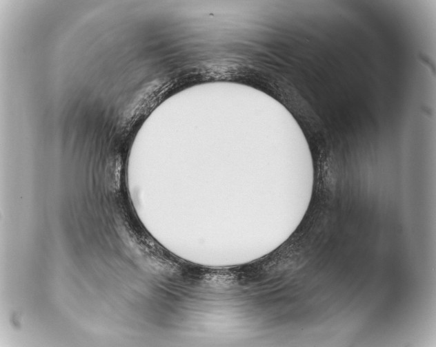 X0000103470694200810100935