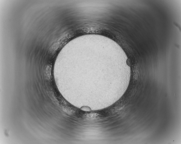 X0000103470695200810100935