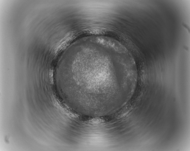 X0000103470696200810100935