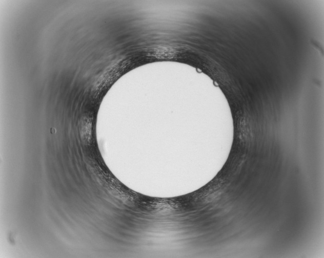 X0000103470697200810100935