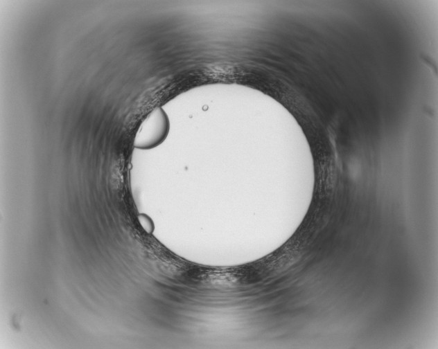 X0000103470702200810100935