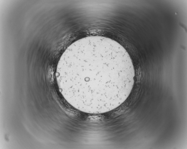 X0000103470703200810100935