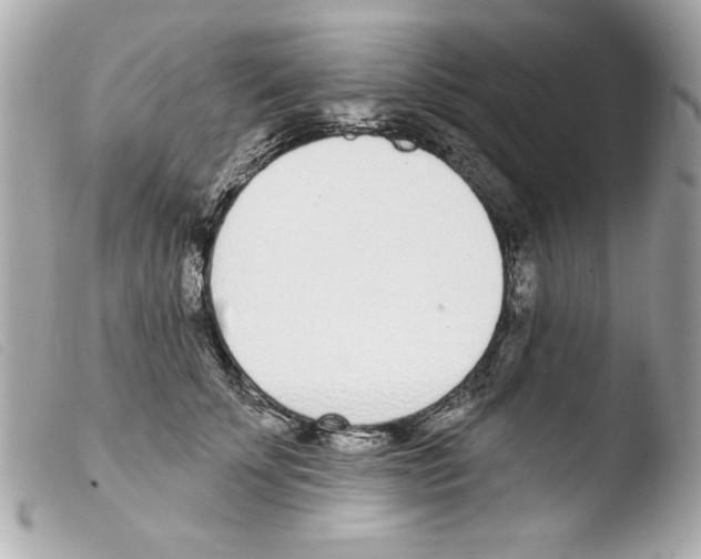 X0000103470707200810100935