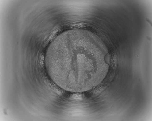X0000103470708200810100935