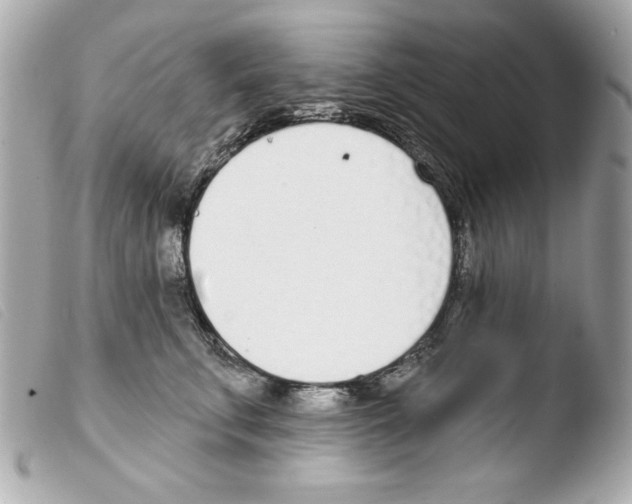X0000103470711200810100935