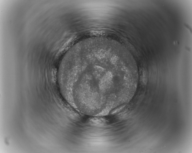 X0000103470712200810100935