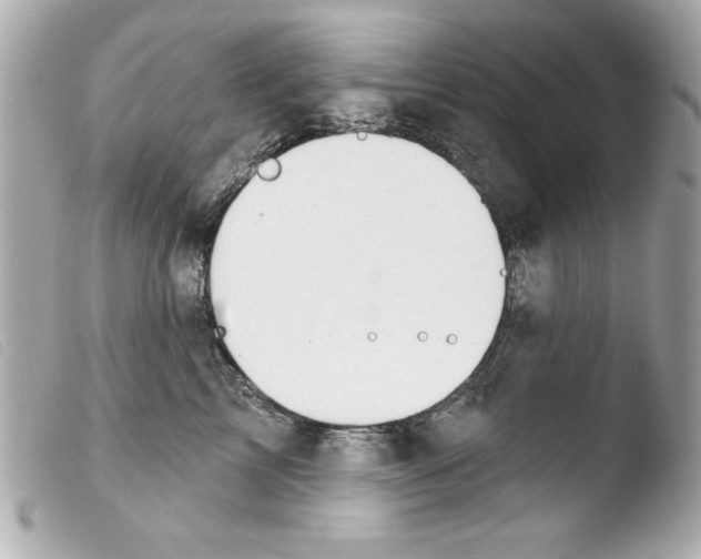 X0000103470713200810100935