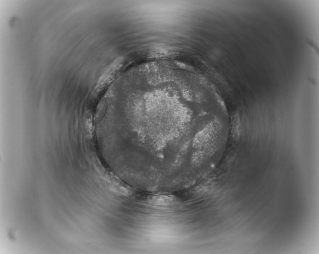 X0000103470716200810100935
