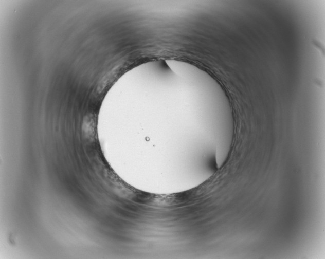 X0000103470720200810100935