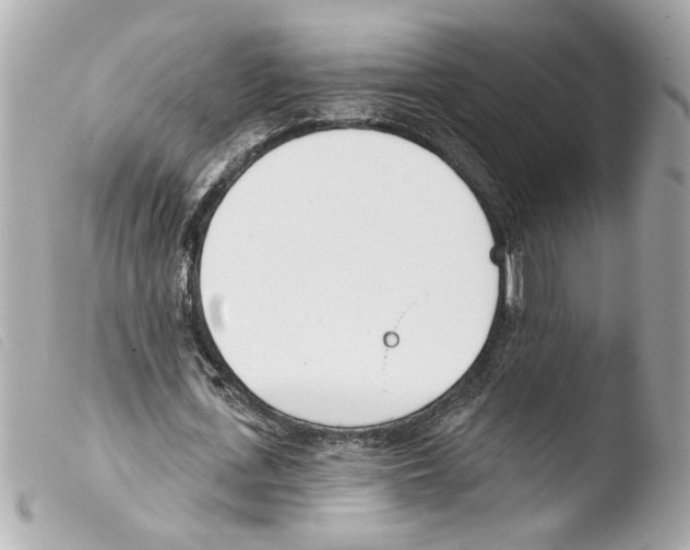 X0000103470723200810100934