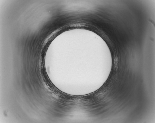 X0000103470724200810100934