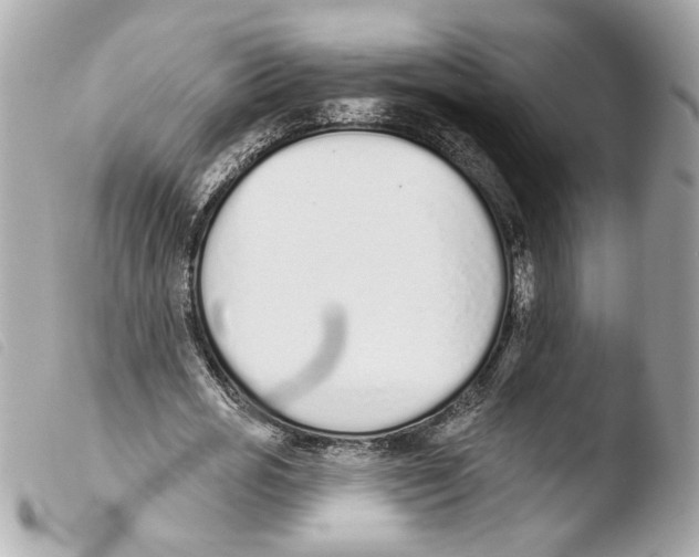 X0000103470725200810100934
