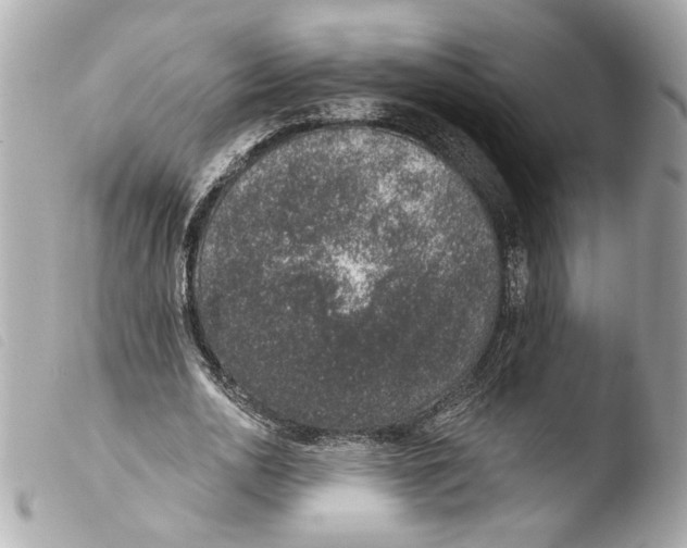 X0000103470726200810100934