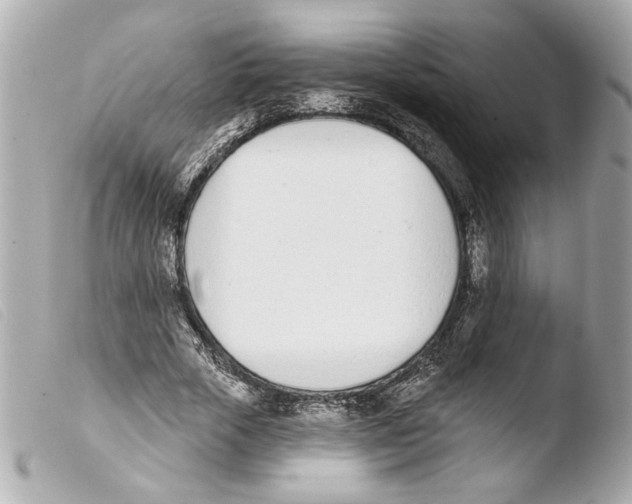 X0000103470729200810100934
