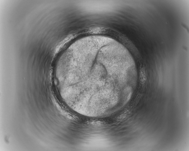 X0000103470730200810100934
