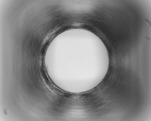 X0000103470736200810100934