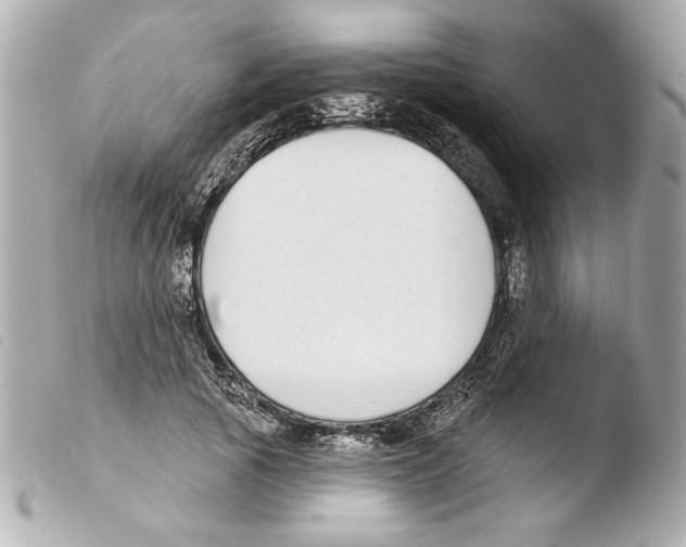 X0000103470737200810100934