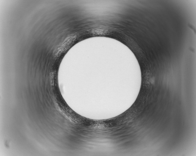 X0000103470738200810100934