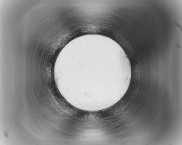 X0000103470739200810100934