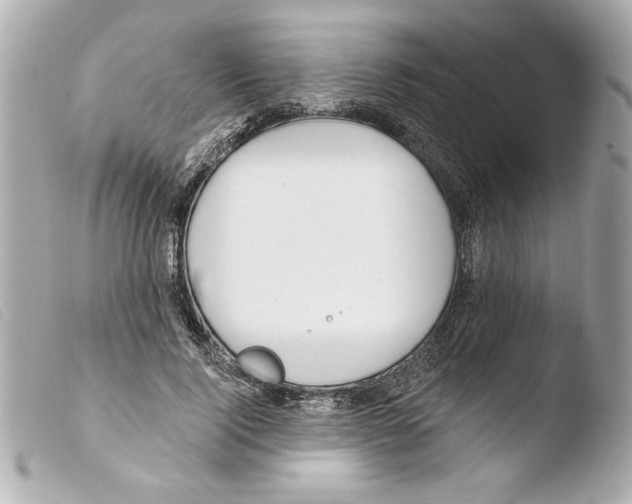X0000103470740200810100934