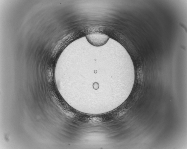 X0000103470741200810100934