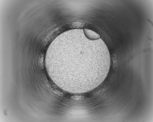 X0000103470745200810100934