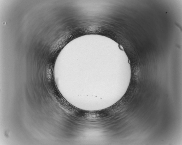 X0000103470746200810100934