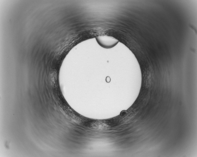 X0000103470747200810100934