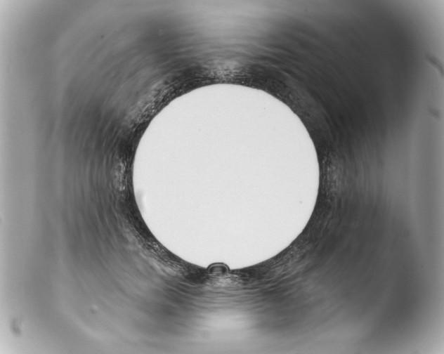 X0000103470750200810100935