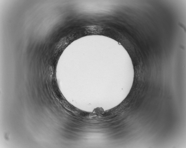X0000103470752200810100935