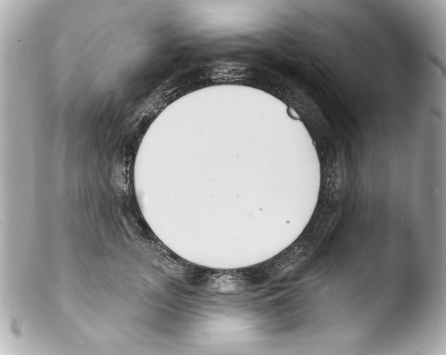 X0000103470755200810100935