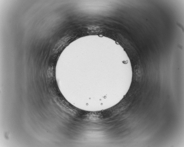 X0000103470756200810100935