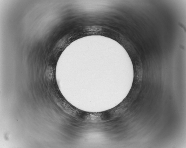 X0000103470758200810100935