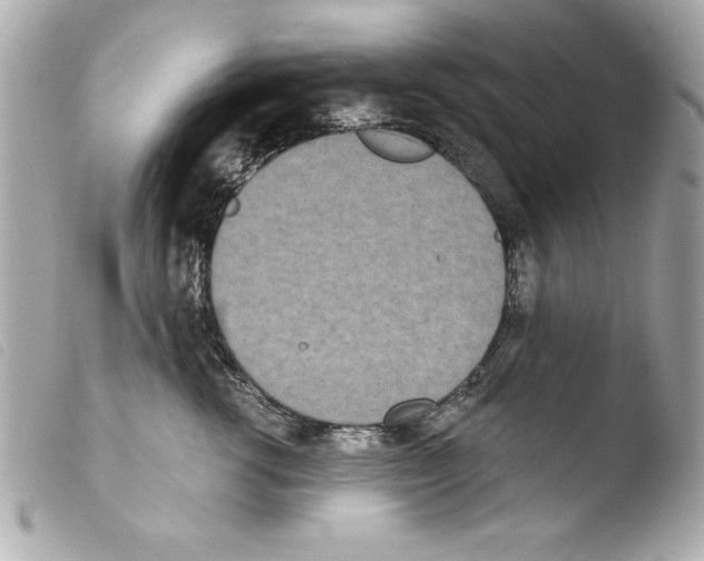 X0000103470762200810100935
