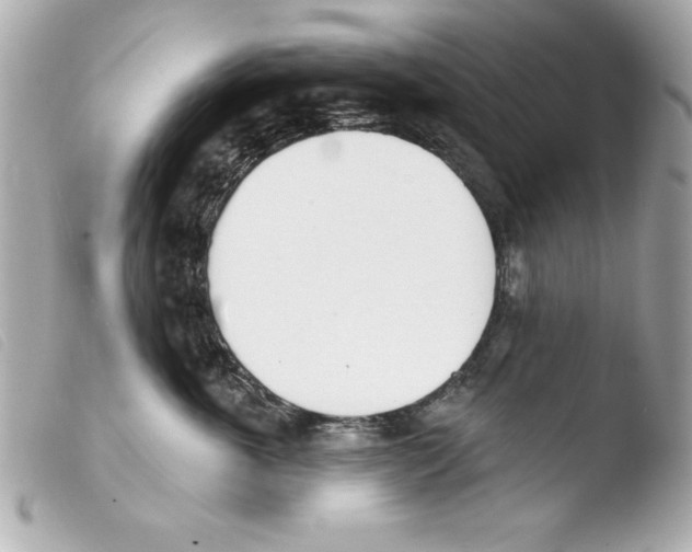 X0000103470763200810100935