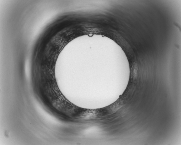 X0000103470764200810100935