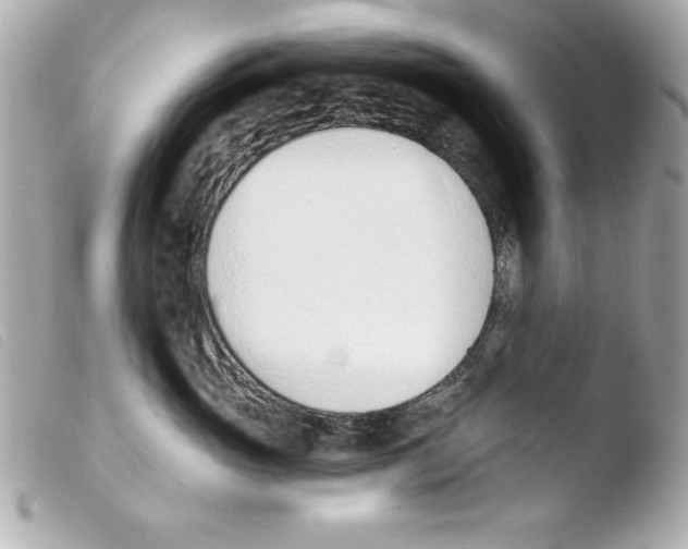 X0000103470765200810100935