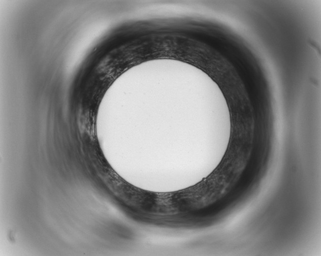 X0000103470766200810100935