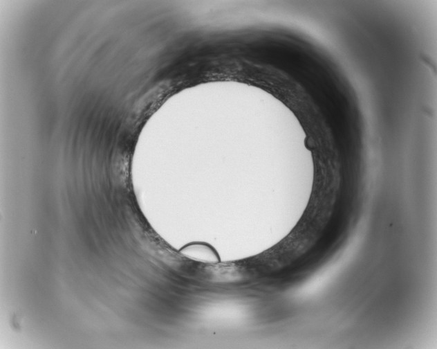 X0000103470767200810100935