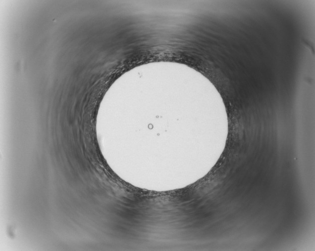 X0000103470769200810100934