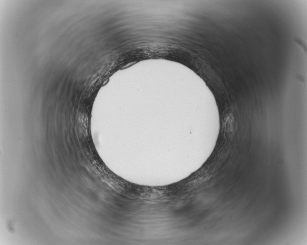 X0000103470772200810100934